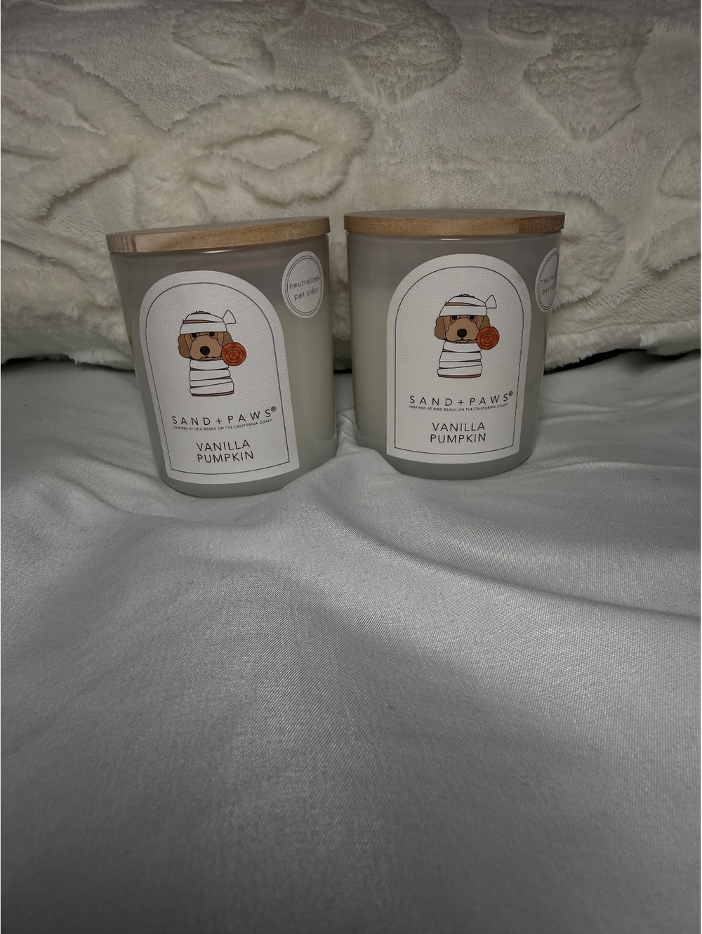 Sand and Paws Holiday Candles Set of 2